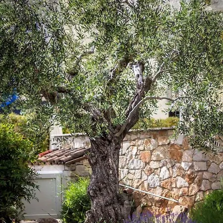 In Porec/istrien 34623 Daire